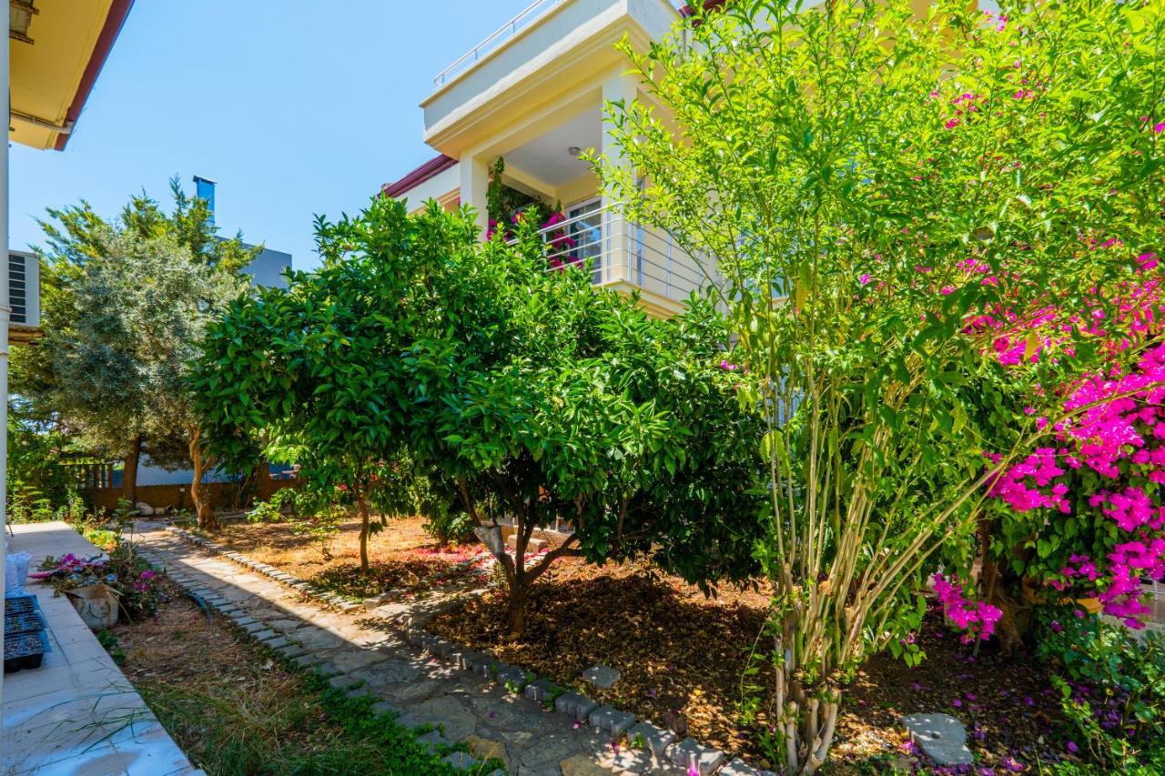 Rose çalış Fethiye